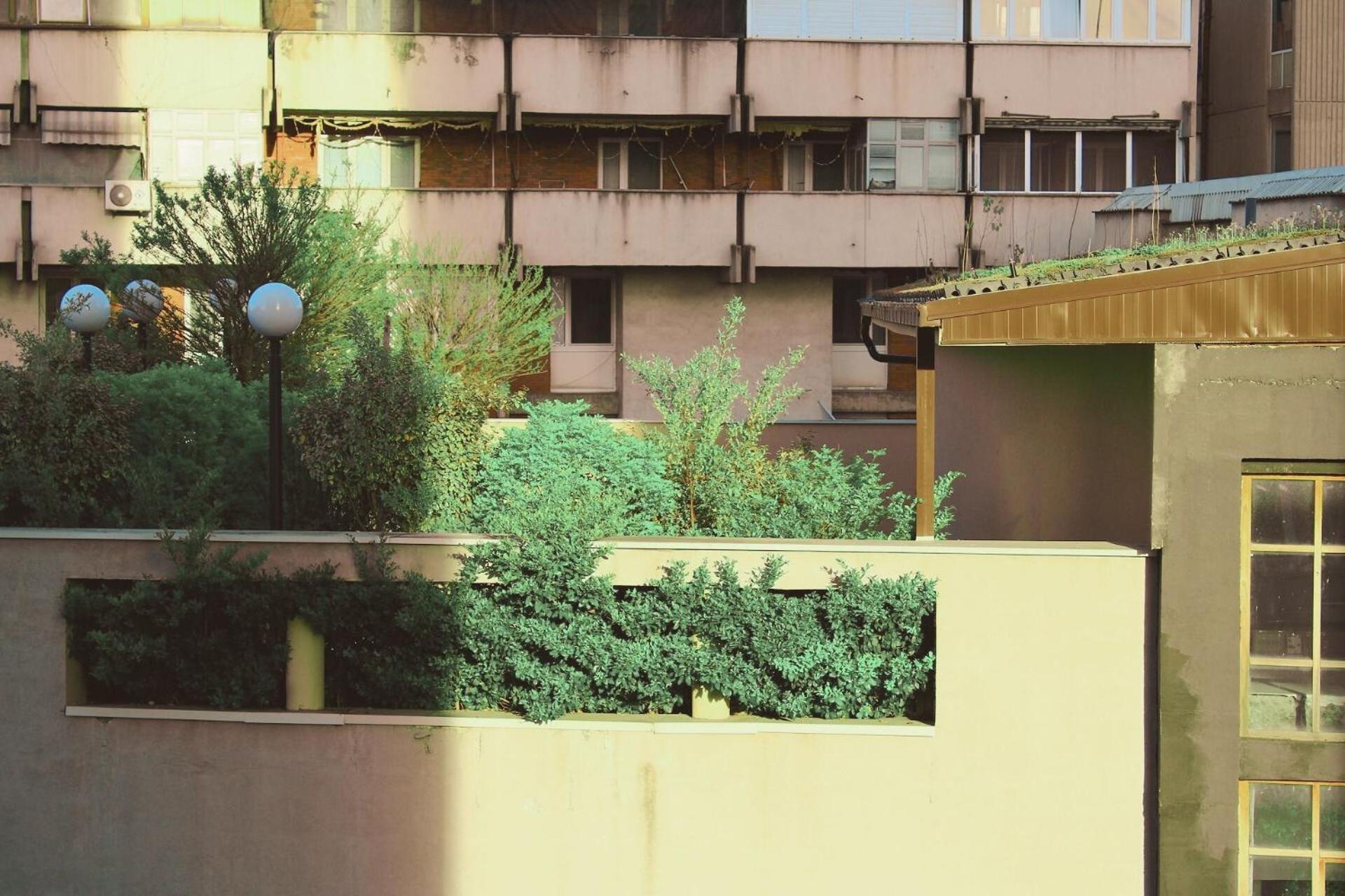 Sunny Center Apartment สโกเปีย ภายนอก รูปภาพ